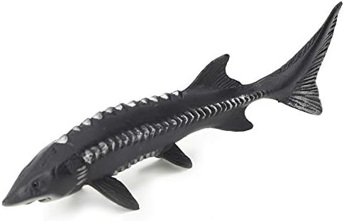 Realistic Sturgeon Fish Model for Home Decor