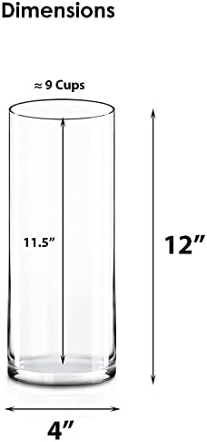 CYS Excel Clear Glass Cylinder Vase 12 4
