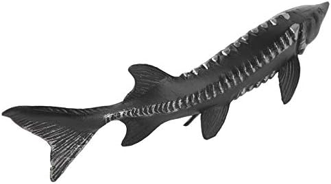 Realistic Sturgeon Fish Model for Home Decor