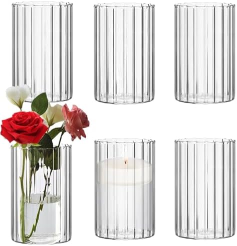 Steviieden Clear Ribbed Glass Cylinder Vases Set of 6