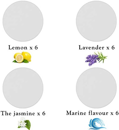Maitys 24 Pcs Steam Mop Scent Discs with 4 Fragrances