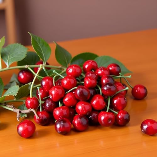 20Pcs Artificial Cherries Black and Red