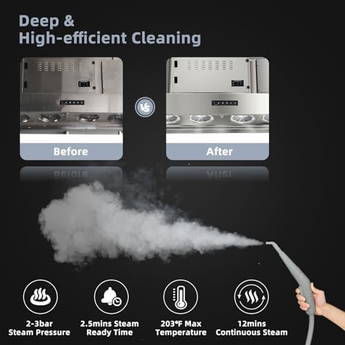 COSTWAY Handheld Steam Cleaner with 10 Piece Accessories Grey