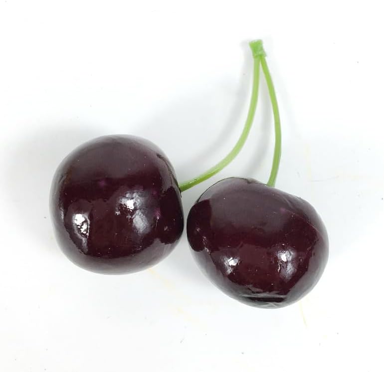 Namzi Artificial Fruit Set 5pcs Cherry B Decor
