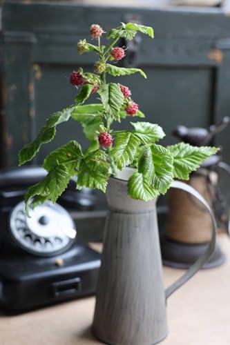 Handcrafted Realistic Raspberry Branch Cold Porcelain Decor