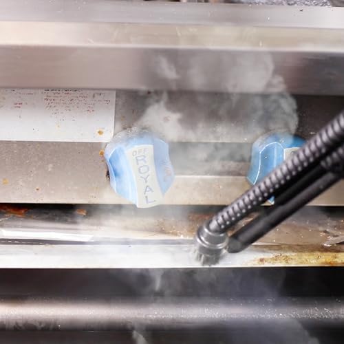 Dupray Small Stainless Steel Brushes - Pack of 10 for Steam Cleaners