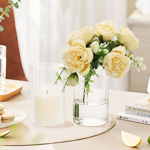 Steviieden Clear Ribbed Glass Cylinder Vases Set of 6
