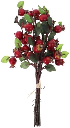Cabilock 5 Piece Artificial Pomegranate Decor