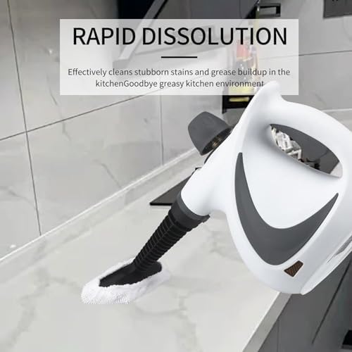 Laytic Handheld Steam Cleaner 10 In 1 Portable