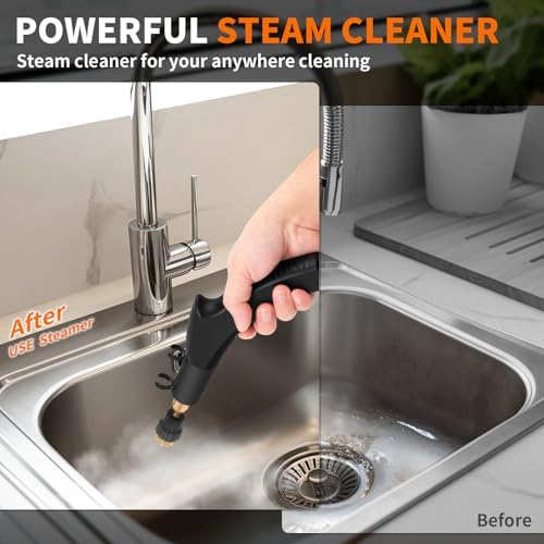 2500W High Pressure Steam Cleaner for Car and Home Use