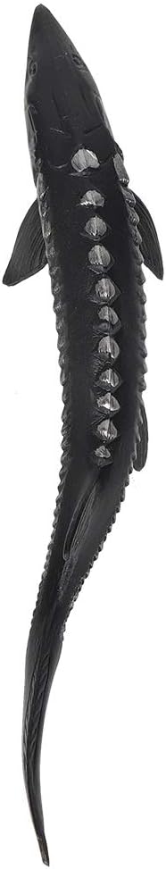 Realistic Sturgeon Fish Model for Home Decor