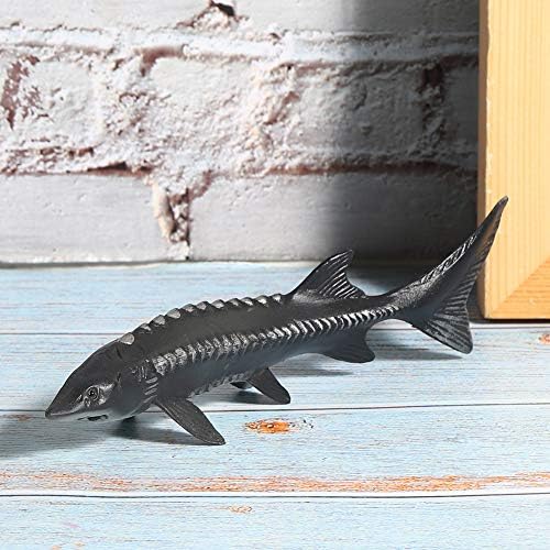 Realistic Sturgeon Fish Model for Home Decor