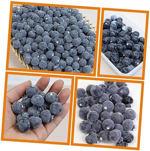 100pcs Lifelike Blueberry Foam Fruit Decor for Home Classroom