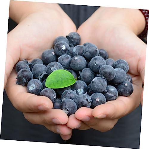 LIFKOME Realistic Foam Blueberries 24pcs Artificial Fruit Decor
