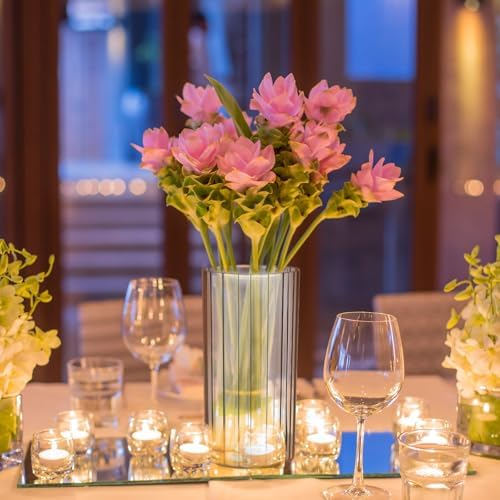 6 Pcs Plastic Cylinder Vases for Centerpieces and Decor