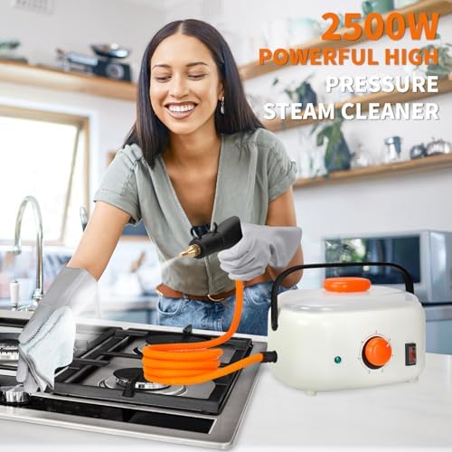 2500W High Pressure Steam Cleaner for Car and Home Use