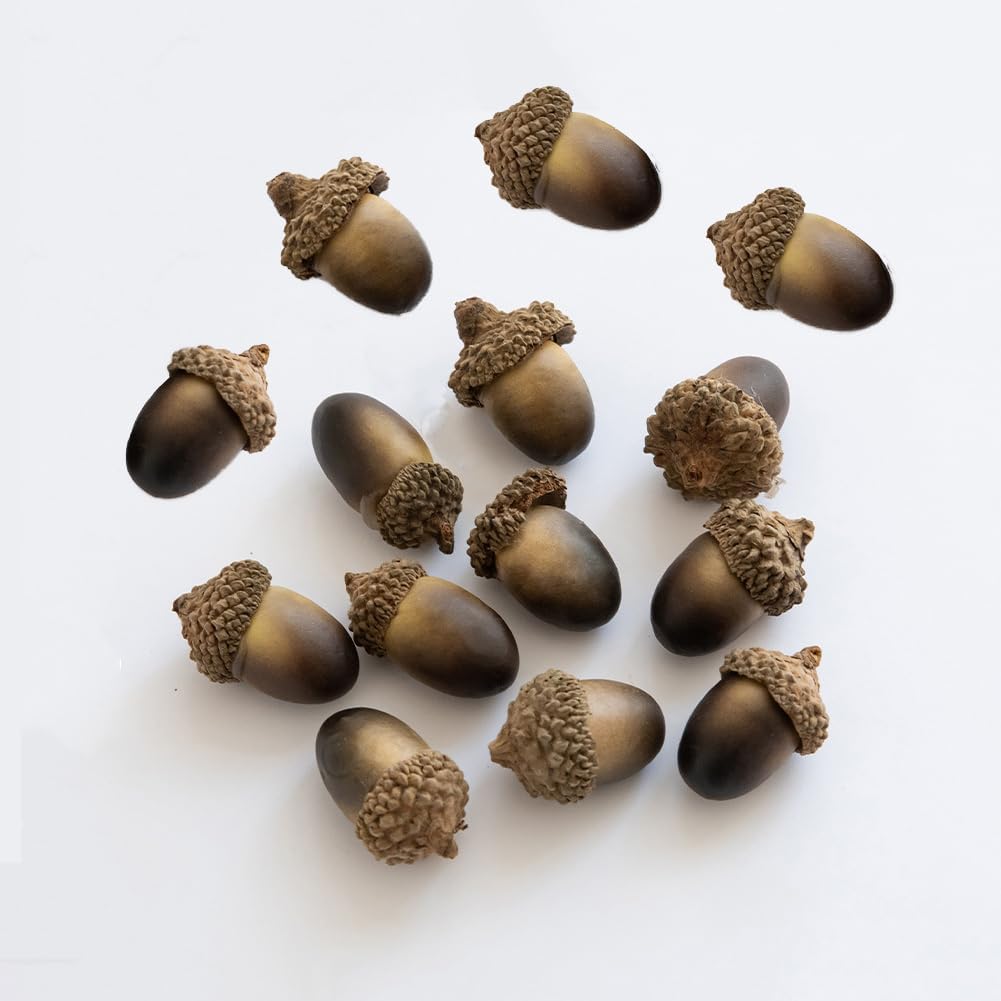 50Pcs Artificial Acorns Lifelike Decor for DIY Crafts