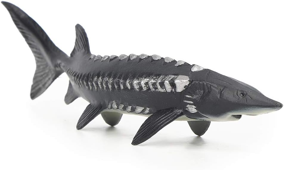 Realistic Sturgeon Fish Model for Home Decor