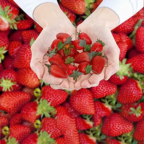 Happy Trees 30 Artificial Strawberries Assorted Size