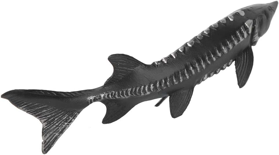 Realistic Sturgeon Fish Model for Home Decor