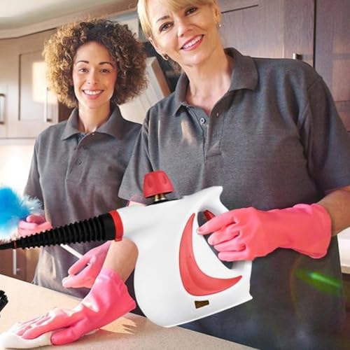 Laytic 10 In 1 Handheld Steam Cleaner Pro
