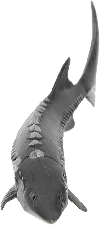 Realistic Sturgeon Fish Model for Home Decor