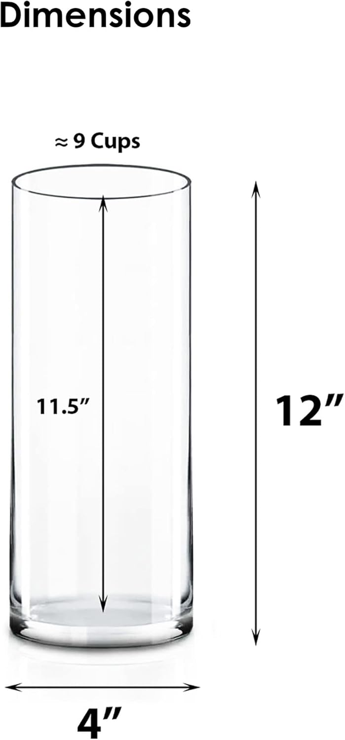 CYS Excel Clear Glass Cylinder Vase 12 4