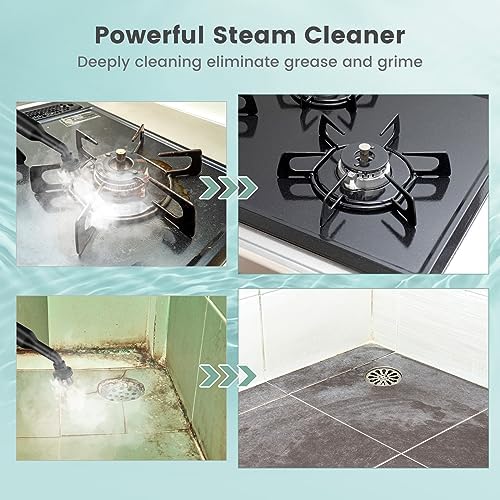 Goplus Multipurpose Handheld Steam Cleaner with 17 Accessories
