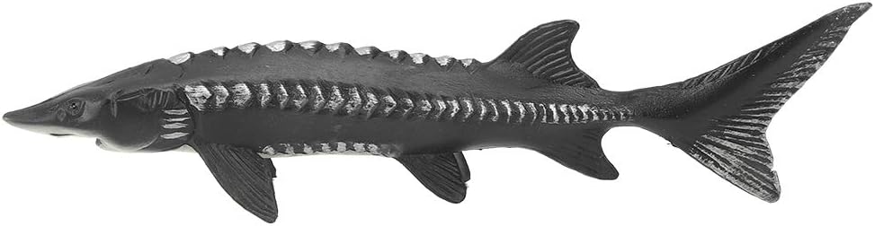 Realistic Sturgeon Fish Model for Home Decor