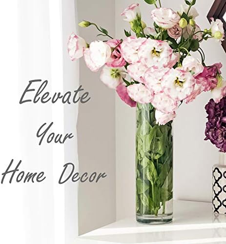 CYS Excel Clear Glass Cylinder Vase 12 4