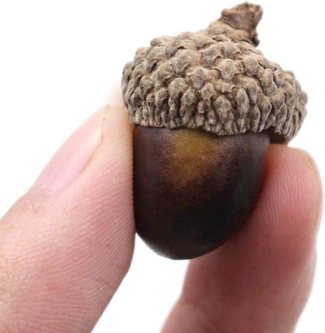 50Pcs Artificial Acorns Lifelike Decor for DIY Crafts