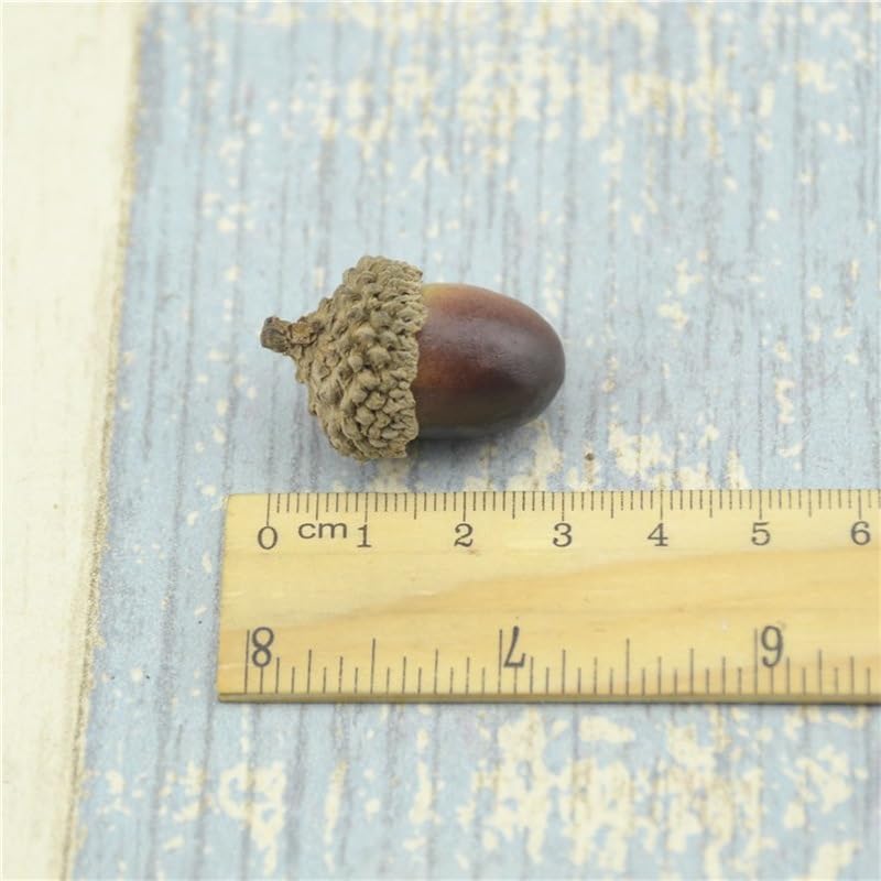 50Pcs Artificial Acorns Lifelike Decor for DIY Crafts