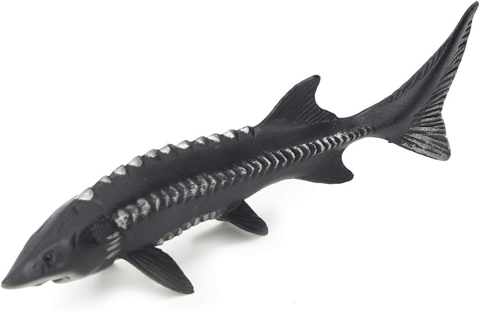 Realistic Sturgeon Fish Model for Home Decor