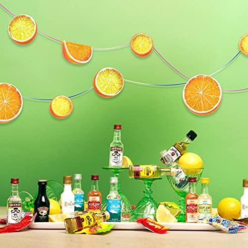 SNAIL GARDEN 30Pcs Artificial Lemon Slices Blocks