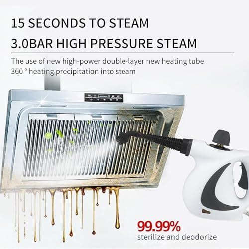 Laytic Handheld Steam Cleaner 10 In 1 Portable