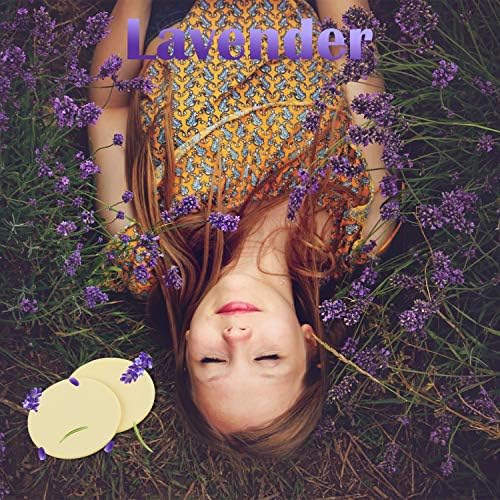 Maitys 24 Pack Steam Mop Scent Discs Lavender
