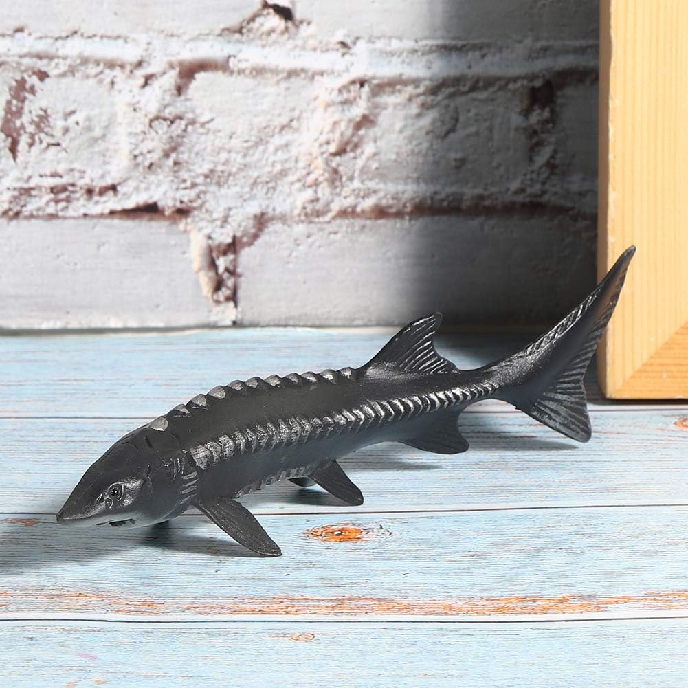 Realistic Sturgeon Fish Model for Home Decor